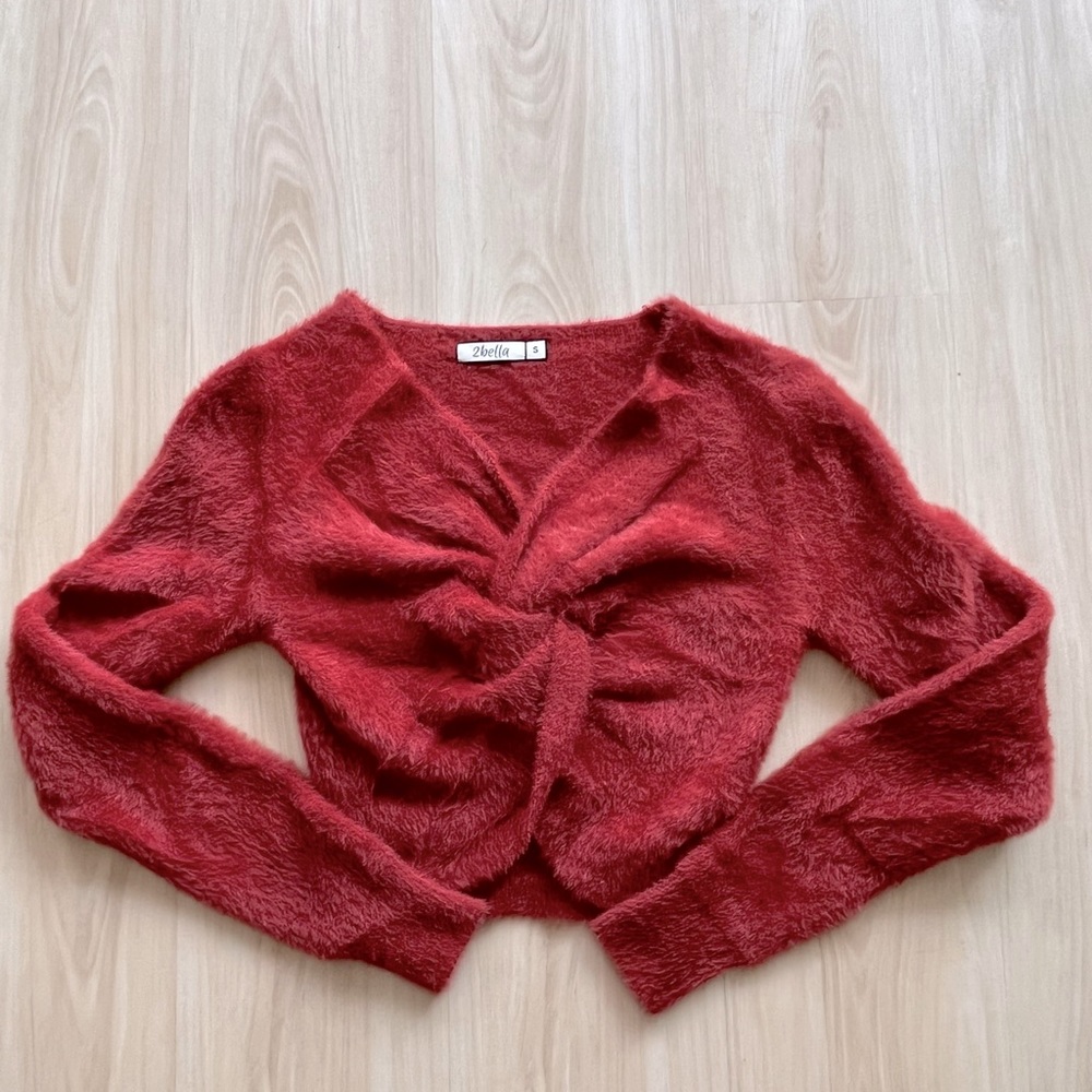 Burnt Orange, fuzzy, cropped sweater from 2bella. Size small!